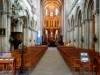 Image 29