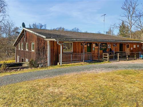 Ferielejlighed - 14 personer -  - Bondemölla - Ludwigsborg/Höör - 242 71 - Höör