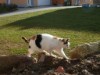 Bild 14