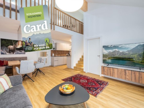 Ferielejlighed - 6 personer -  - Höhenfeld 165 und - 8967 - Haus Im Ennstal