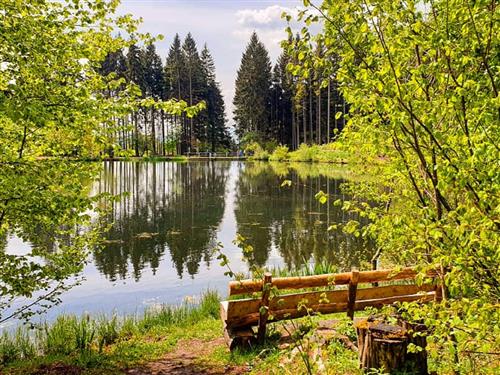 Ferielejlighed - 4 personer -  - Eckenstraße - 97772 - Oberbach