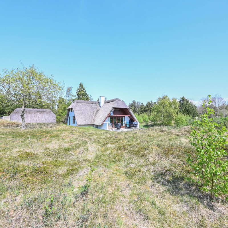 Ferienhaus - 6 Personen -  - Svollingvej - Vester Husby - 6990 - Ulfborg