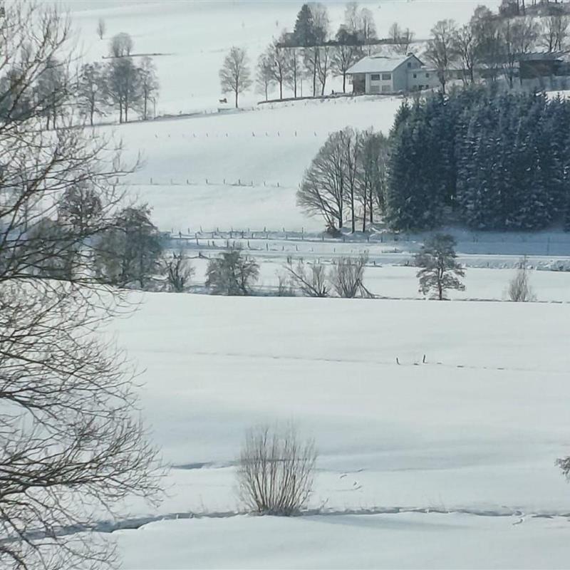Sommerhus - 12 personer -  - Sandstraße - 57339 - Erndtebrück