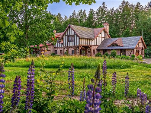 Holiday home - 16 persons -  - Laczno - Borne Sulinowo - 78-446 - Laczno