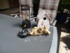Bild 42