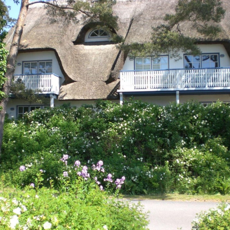 Ferielejlighed - 2 personer -  - Ostseebad Zingst - 18374
