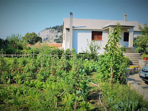 Ferielejlighed - 4 personer -  - 21253 - Gata