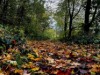 Bild 17