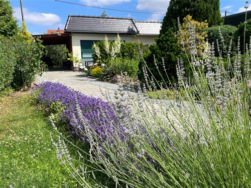 Feriehus - 4 personer -  - Thomas-Müntzer-Straße - 02625 - Bautzen