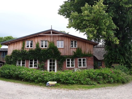 Holiday home - 4 persons -  - 24972 - Gintoftholm