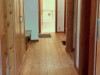 Bild 41