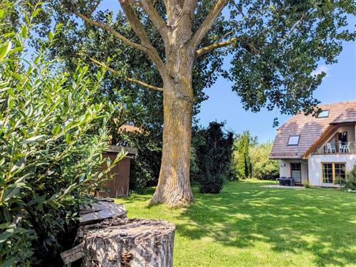 Sommerhus - 6 personer -  - Auf dem Branden - 18375 - Born