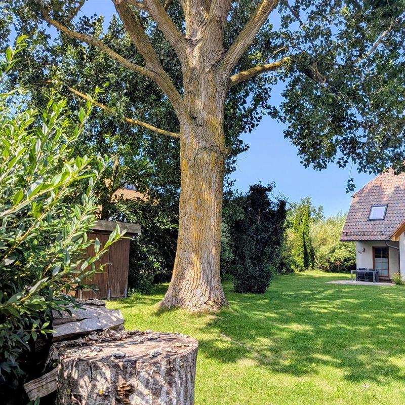 Sommerhus - 6 personer -  - Auf dem Branden - 18375 - Born