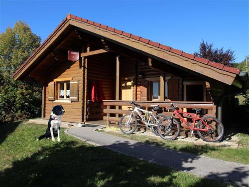 Feriesenter - 4 personer -  - Kürnburgstrasse - 93491 - Stamsried