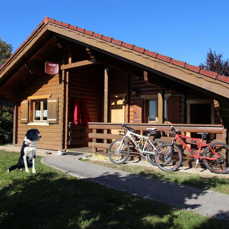 Feriecenter - 4 personer -  - Kürnburgstrasse - 93491 - Stamsried