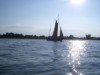 Billede 29