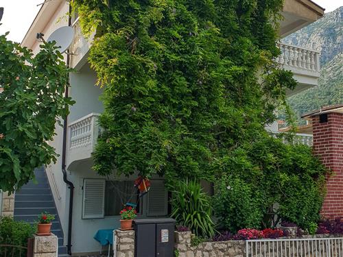 Holiday apartment - 7 persons -  - Dalmatinska - 21335 - Podaca