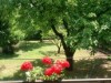 Bild 36 - Aussen