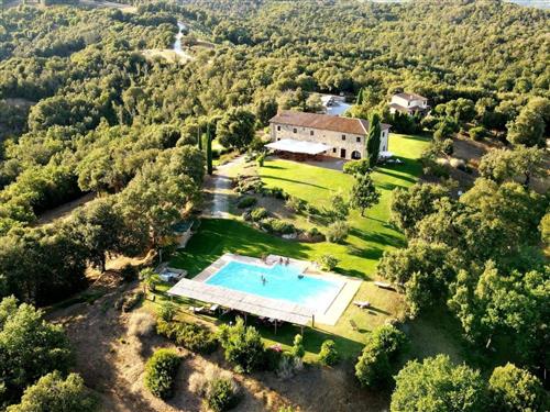 Ferieleilighet - 3 personer -  - Bibbona - 57020