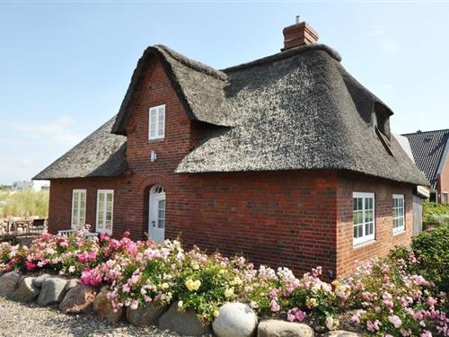 Sommerhus - 6 personer -  - Norderdeich - 25826 - St Peter-Ording