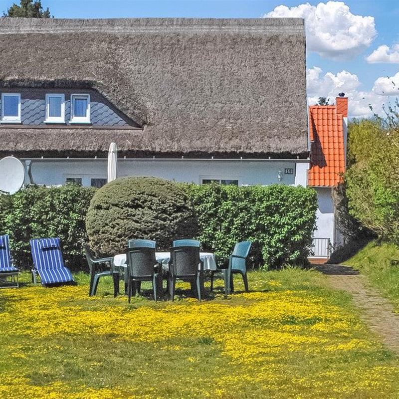 Ferielejlighed - 3 personer -  - Siedlung - Kloster/Insel Hiddensee - 18565 - Kloster/Insel Hiddense