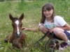 Bild 19
