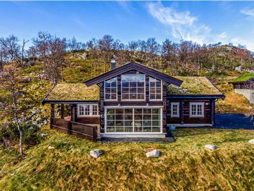 Feriehus - 10 personer -  - Livoldkroken - Vierli - 3864 - Rauland