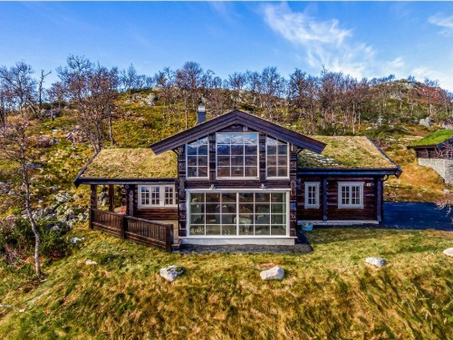 Holiday home - 10 persons -  - Livoldkroken - Vierli - 3864 - Rauland