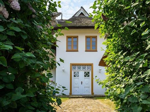 Ferielejlighed - 2 personer -  - Hafenweg - 18347 - Ostseebad Ahrenshoop