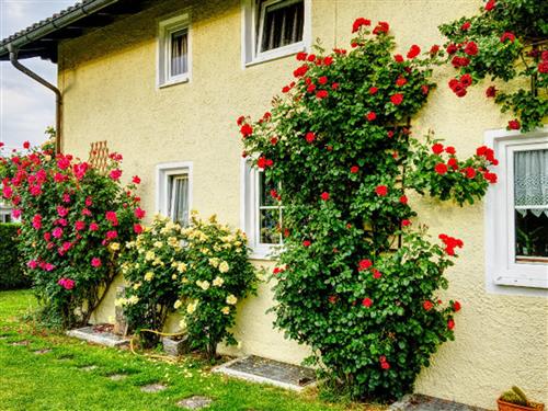 Ferieleilighet - 2 personer -  - Hallwangerstraße - 83209 - Prien A. Chiemsee