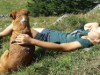 Bild 15