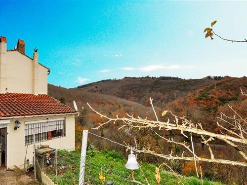 Holiday home - 5 persons -  - Chemin de la Planète - 81200 - Mazamet