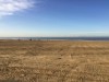 Image 38