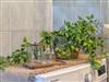 Bild 27 - Innen