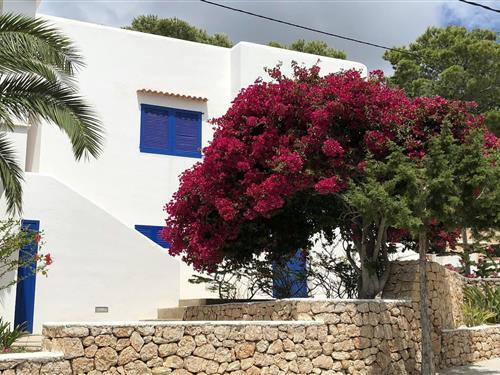 Holiday Home/Apartment - 7 persons -  - 07830 - San Jose