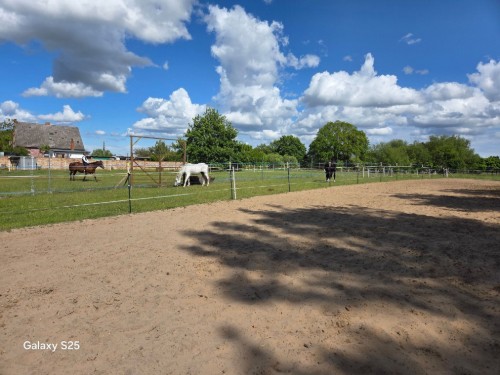 Ferielejlighed - 3 personer -  - Sprengersfelde - 17379 - Ferdinandshof