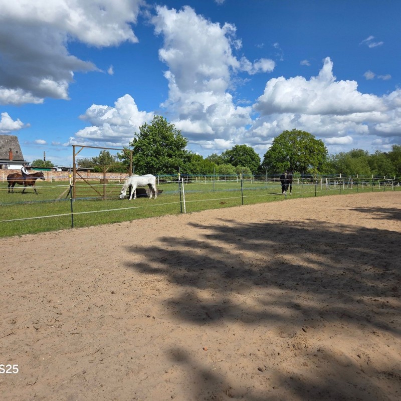 Ferielejlighed - 3 personer -  - Sprengersfelde - 17379 - Ferdinandshof