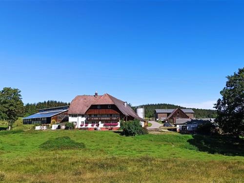 Ferienwohnung - 5 Personen -  - 78112 - Sankt Georgen Im Schwarzw