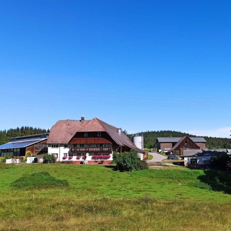 Ferielejlighed - 5 personer -  - 78112 - Sankt Georgen Im Schwarzw