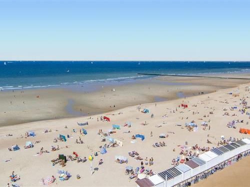 Holiday apartment - 4 persons -  - Zeedijk - 8400 - Oostende