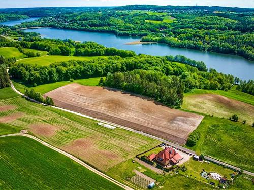 Holiday apartment - 2 persons -  - Pierszczewo - Pierszczewo - 83-316 - Golubie