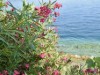 Bild 33