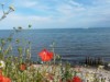Bild 18
