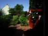 Bild 19