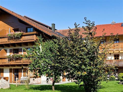 Holiday Home/Apartment - 4 persons -  - Bärnzell - 94227 - Zwiesel