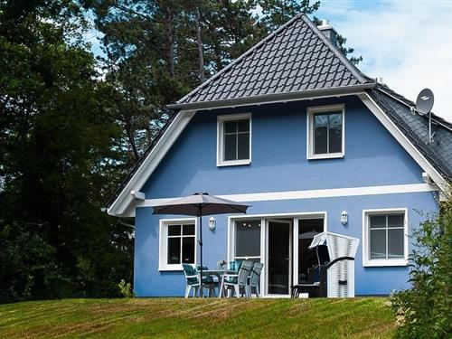 Sommerhus - 6 personer -  - Schifferberg - 18347 - Ostseebad Ahrenshoop
