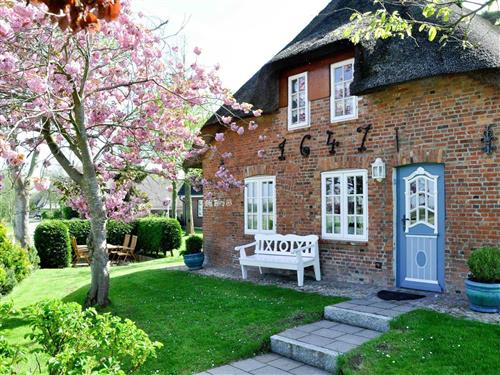 Sommerhus - 2 personer -  - Ohl-Dörp - 25938 - Wrixum