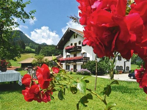 Bauernhof - 4 persons -  - Maiergschwendt - 83324 - Ruhpolding