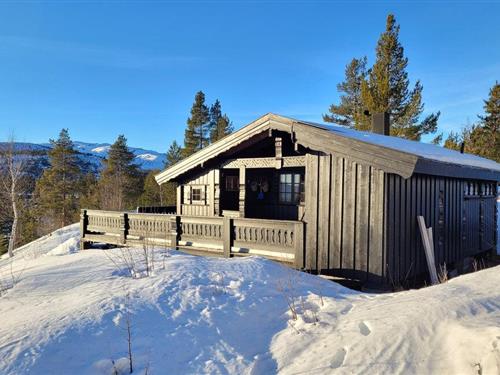 Holiday home - 7 persons -  - Maurlivegen - Bykle/Hovden - 4754 - Bykle