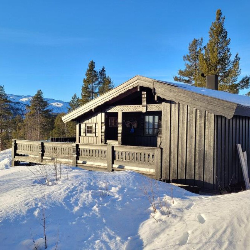 Sommerhus - 7 personer -  - Maurlivegen - Bykle/Hovden - 4754 - Bykle